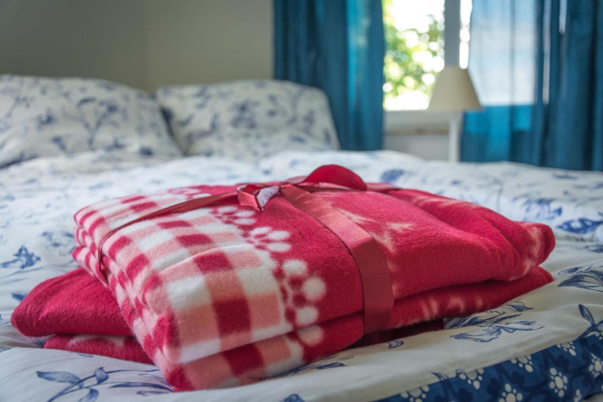 Ferienwohnung Fischersfru 플렌스부르크 외부 사진